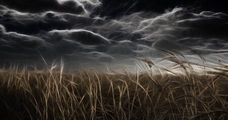 Dark Abstracted Field and Skyの写真素材