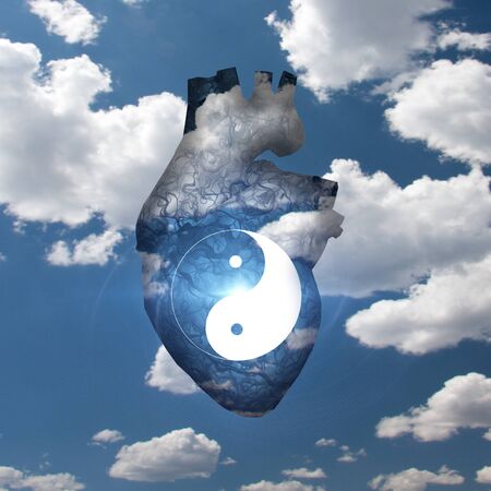 Yin Yang Heartの写真素材