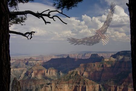 Freedom Fly Ghosted American Flag Eagle in the skyの写真素材