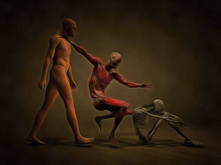 Three stages of human body.の写真素材