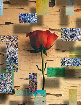 Modern art. Red rose on abstract background.の写真素材