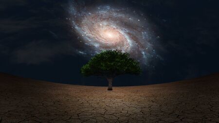 Surrealism. Green tree in arid land. Galaxy in night sky.の写真素材