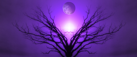 Mystic Tree of Life. Moon in the Sky. Sunset or Sunriseの写真素材