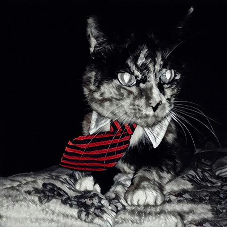 Modern art. Cat in tie.の写真素材