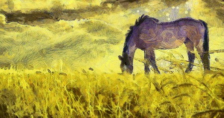 Oil painting. Horse on pasture.の写真素材