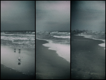 Seagulls on sandy ocean shore. Village in the distance