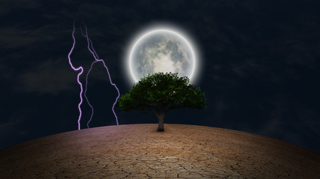 Surrealism. Green tree in arid land. Full moon and lightning in night sky.の写真素材