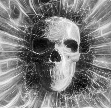 Human Skull Design in Black and White Colorsの写真素材