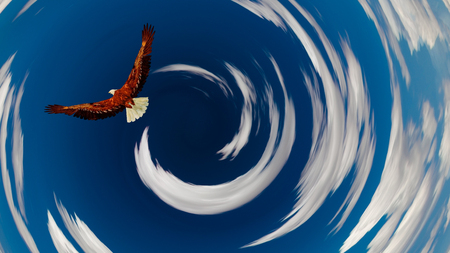 Eagle flies in tunnel of clouds.の写真素材