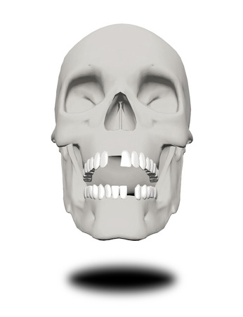 Human skull without a few teethの写真素材