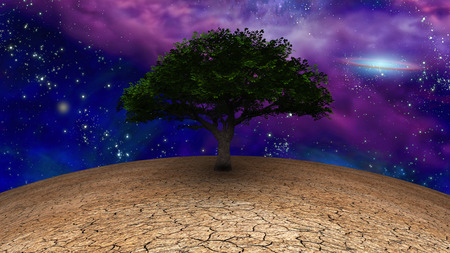 Surrealism. Green Tree of Life in arid land. Galactic disk in night sky