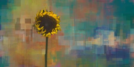 Sunflower on modern geometric abstract backgroundの写真素材