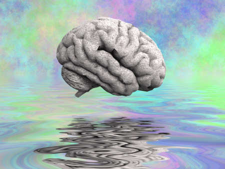 Mysteries of the human brain. 3D rendering