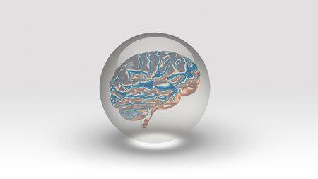 Brain inside bubble. 3d rendering.の写真素材