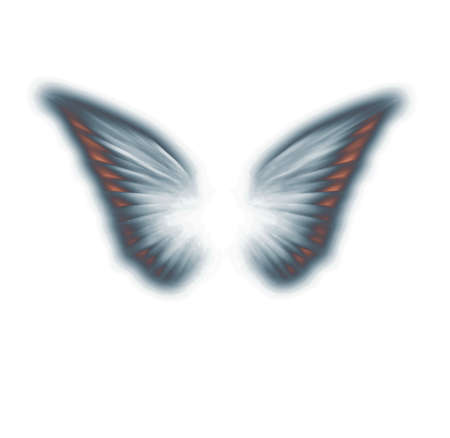 Painted angel wings isolated on white. 3D renderingの写真素材
