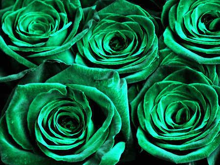 Colorful rose composition in green. 3D renderingの写真素材