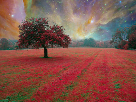 Red tree in surreal field. 3D rendering.の写真素材