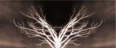 Tree with symmetrical branches. 3D rendering.の写真素材