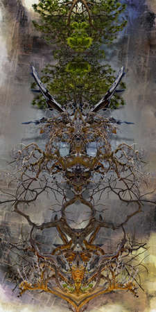 Roots on abstract canvas. Pastel colors. 3D renderingの写真素材