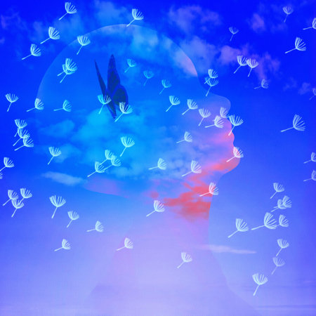 Human head silhouette with butterfly inside. Dandelion seeds fly in the airの写真素材