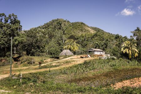 West of Cuba: Old Cuban traditional farm with wooden hut, palm trees, fields, trees, hill and blue sky in the background - concept agriculture farming business food supply tradition. February 26, 2015のeditorial素材
