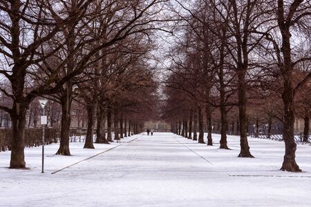 Germany, Bavaria, Munich, Hofgarten: Winter scene with white icy snow, trees and people in the snow covered public famous Court Garden park in the center of the Bavarian capital. February 27, 2018のeditorial素材