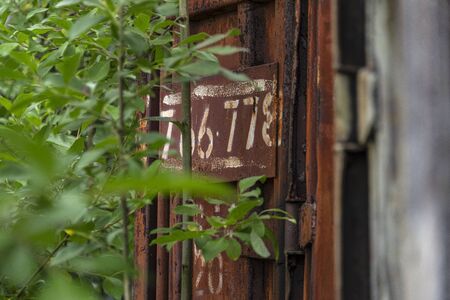 Close up detail of old rusty cargo container door overgrown with green plants trees bushes - concept lost place nature environement freight storage abandoned forgotten waste background front viewの写真素材