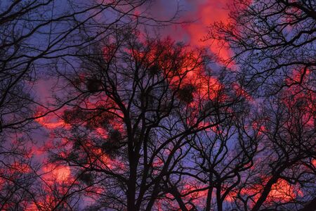 Dark blue hour skies and glowing blood red clouds illuminated by late afternoon setting sun with...