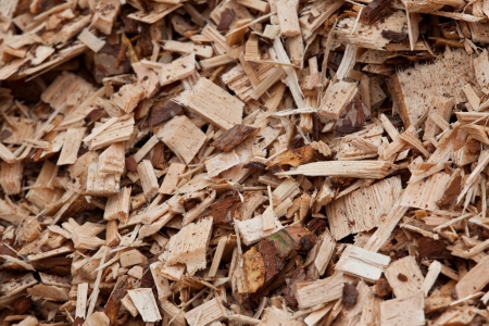 plankingの写真素材