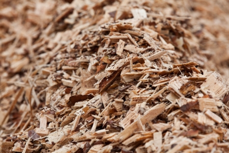 plankingの写真素材