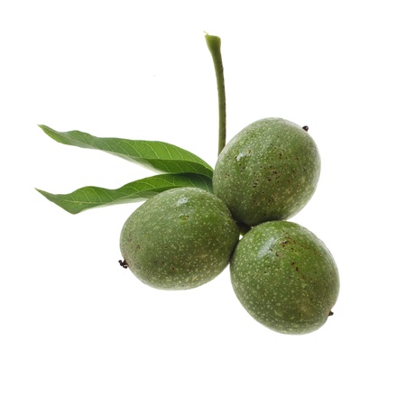 fresh green walnuts with water drops isolated on white backgroundの写真素材