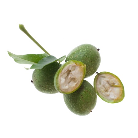 fresh green walnut with leaf isolated on white backgroundの写真素材