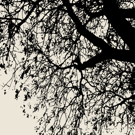 Vector silhouette of a tree branch. Patterns for decorationのイラスト素材
