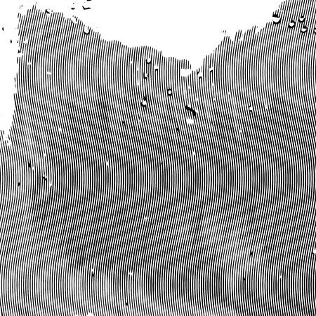 Background for decoration. Damaged grunge texture on a white background.Abstract designのイラスト素材