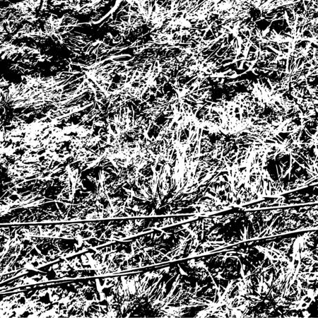 Grunge distress texture.Vector abstract background.Black and white patternのイラスト素材