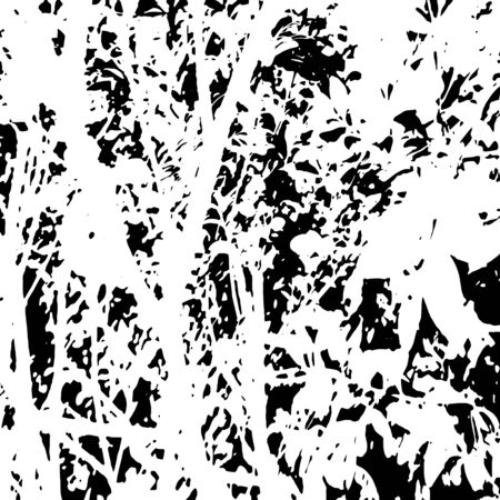 Grunge distress texture.Vector abstract background.Black and white patternのイラスト素材