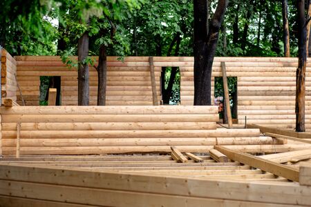 Construction of a wooden ecodom in the forest with the preservation of trees.の写真素材