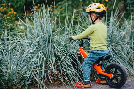 the child on his bicycle drove into the prickly bushes.の写真素材