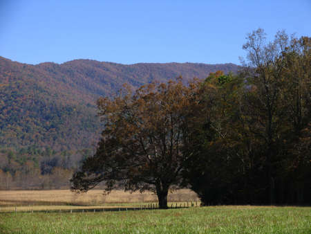 autumn fieldの写真素材