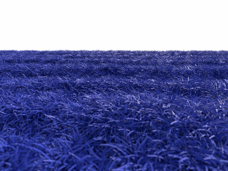 closeup of grass textureの写真素材