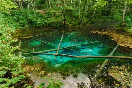 Japanese landscape-kaminoko ike-kiyosato-hokkaidoの写真素材