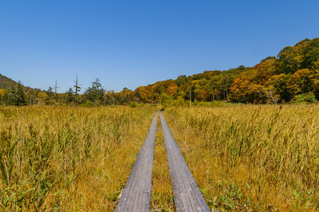 Japanese landscapeの写真素材