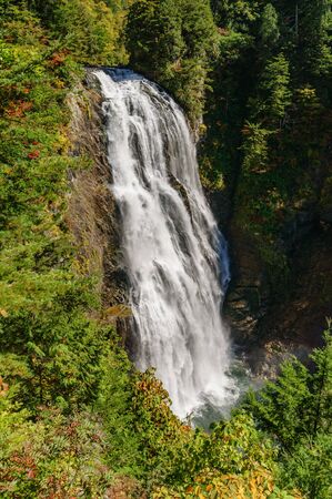Japanese landscapeの写真素材