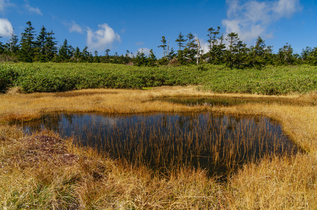 Japanese landscapeの写真素材