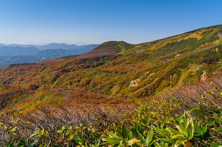 Japanese landscapeの写真素材