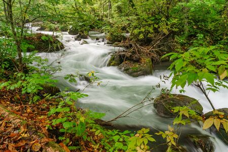 Japanese landscape-oiase keiyu-towada-aomoiの写真素材