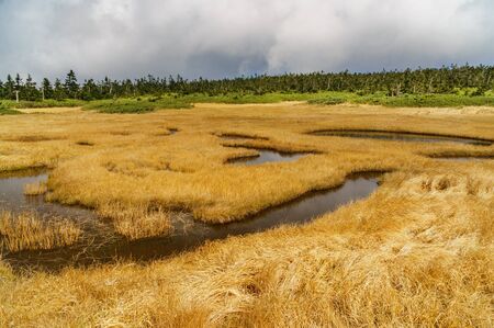 Japanese landscapeの写真素材