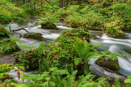 Japanese landscapeの写真素材