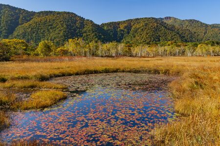 Japanese landscapeの写真素材
