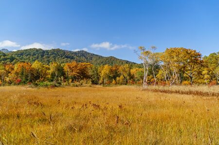 Japanese landscape-ozegahara-katashina-gunmaの写真素材